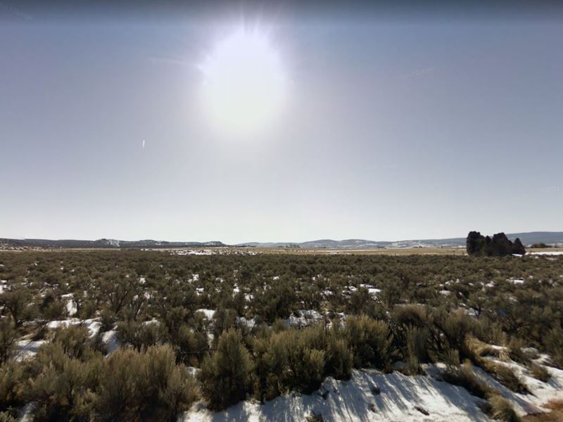 Live Life with a Difference in CA : Modoc : Modoc County : California