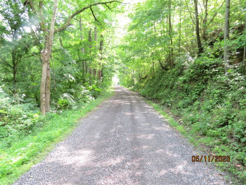 Home Sites On Terrapin Creek : Piedmont : Cleburne County : Alabama