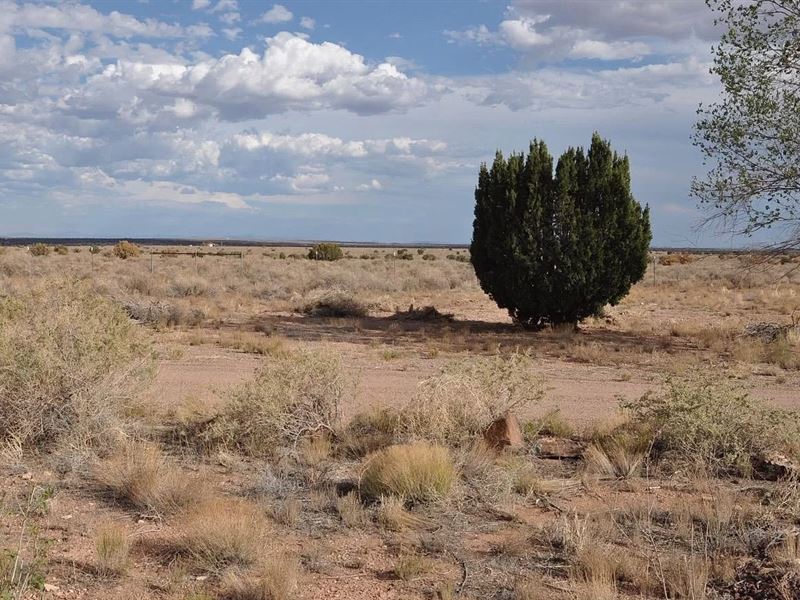 History Meets Adventure, $125/Mo : Snowflake : Navajo County : Arizona