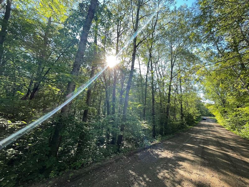No Neighbors, No Limits, $125/Mo : Garrison : Mille Lacs County : Minnesota