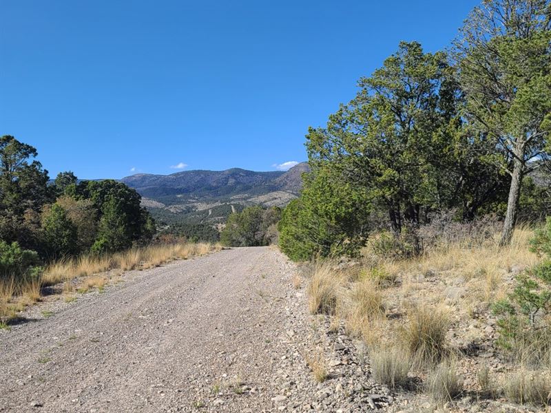 Peaceful Life & Nature Awaits You : Timberon : Otero County : New Mexico