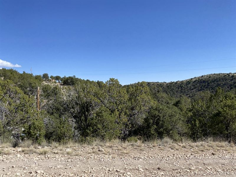 Build Your Getaway Forest Home : Timberon : Otero County : New Mexico