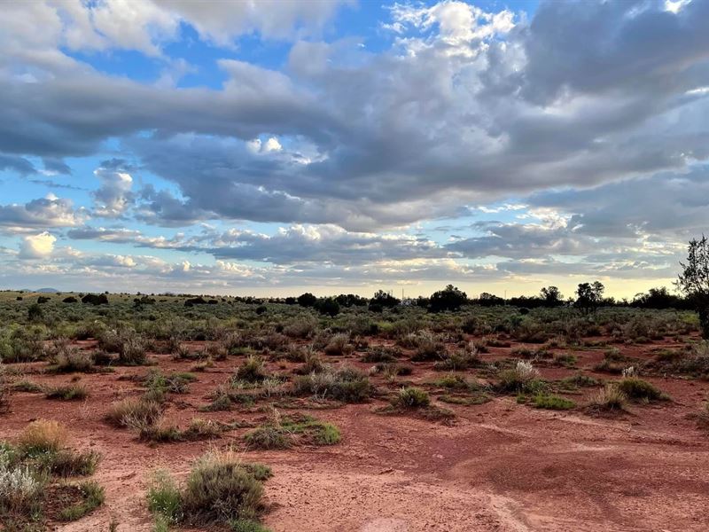 Slay Your Land Game at $175/Mo : Williams : Coconino County : Arizona