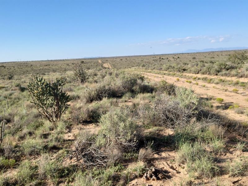 Get Off Grid & Enjoy Nature : Rio Rancho : Sandoval County : New Mexico