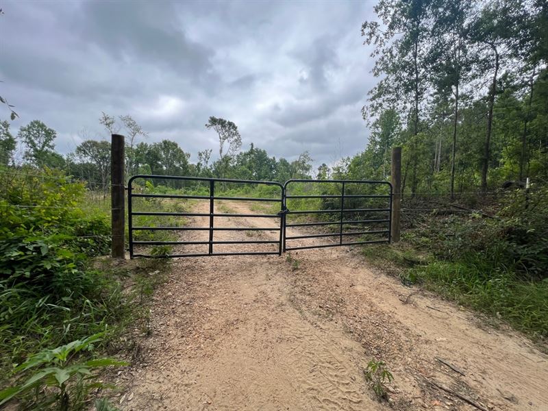 Ms, Adams 58 Acres : Natchez : Adams County : Mississippi
