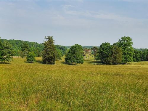 40.58 Acres Chief Thomas Rd, Ha : Harmony : Iredell County : North Carolina