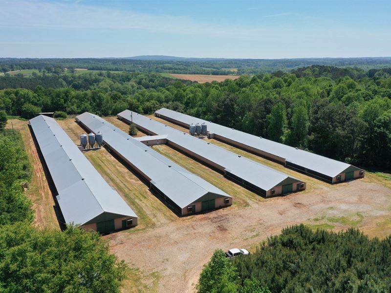 Cook and Son Broiler Farm : Graham : Randolph County : Alabama