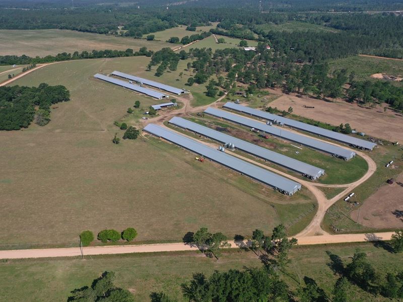 Foxtown Broiler Farm : Aiken : Aiken County : South Carolina