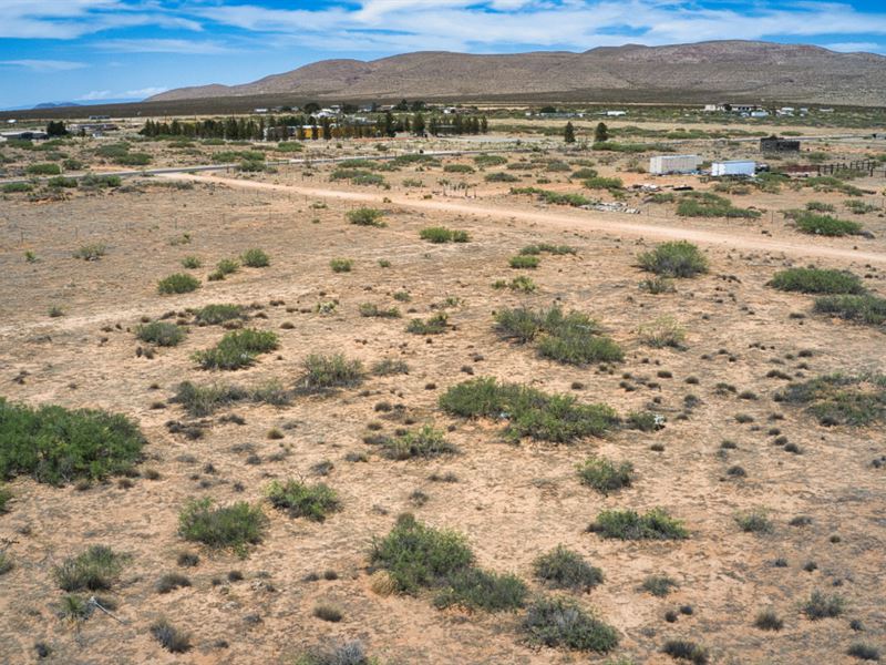Embrace The Symphony of Serenity : El Paso : El Paso County : Texas