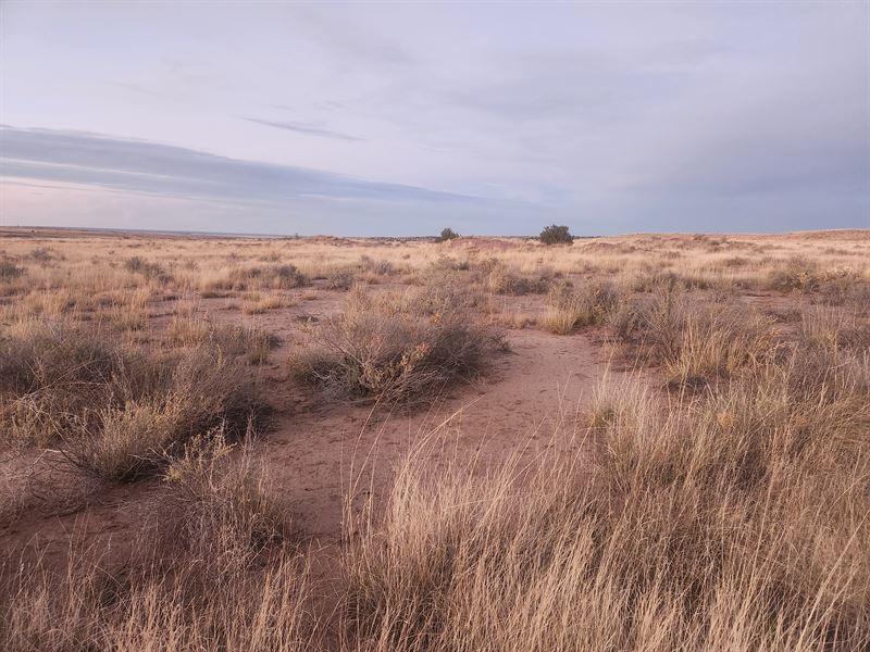 Get This 1.05 Acre Vacant Land : Saint Johns : Apache County : Arizona