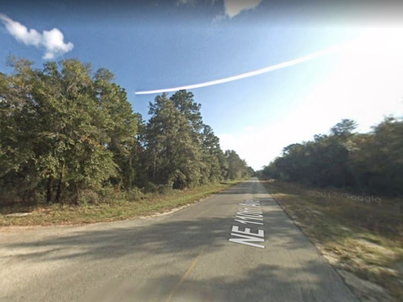 .22 Acre in Fort McCoy, Florida : Fort Mc Coy : Marion County : Florida