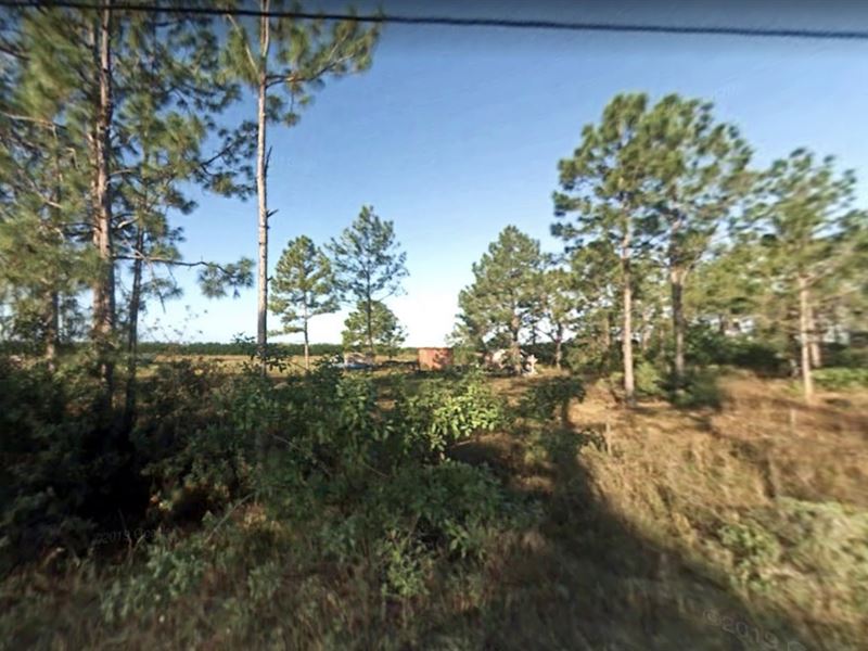 .96 Acre for Sale in Estero, FL : Estero : Lee County : Florida