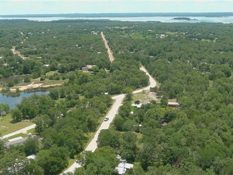 Labor Day Sale in Somerville, TX : Somerville : Burleson County : Texas