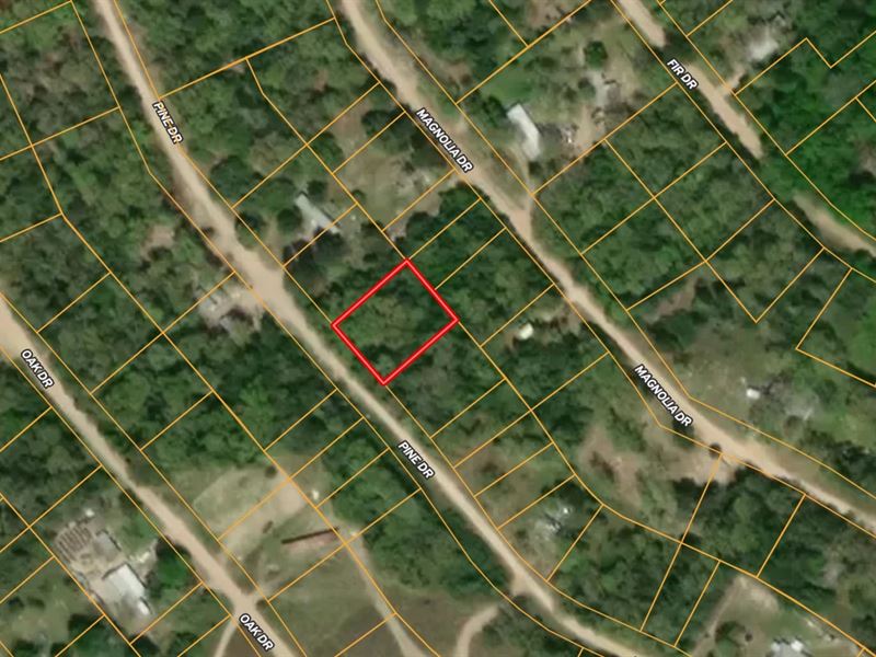 Labor Day Sale in Caldwell, TX : Caldwell : Burleson County : Texas