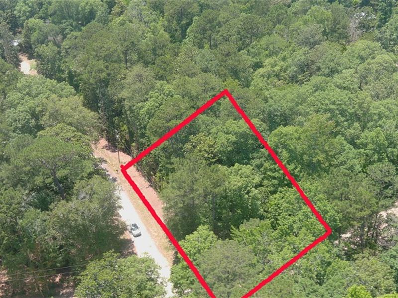 .46 Ac Residential Vacant Land : Woodville : Tyler County : Texas