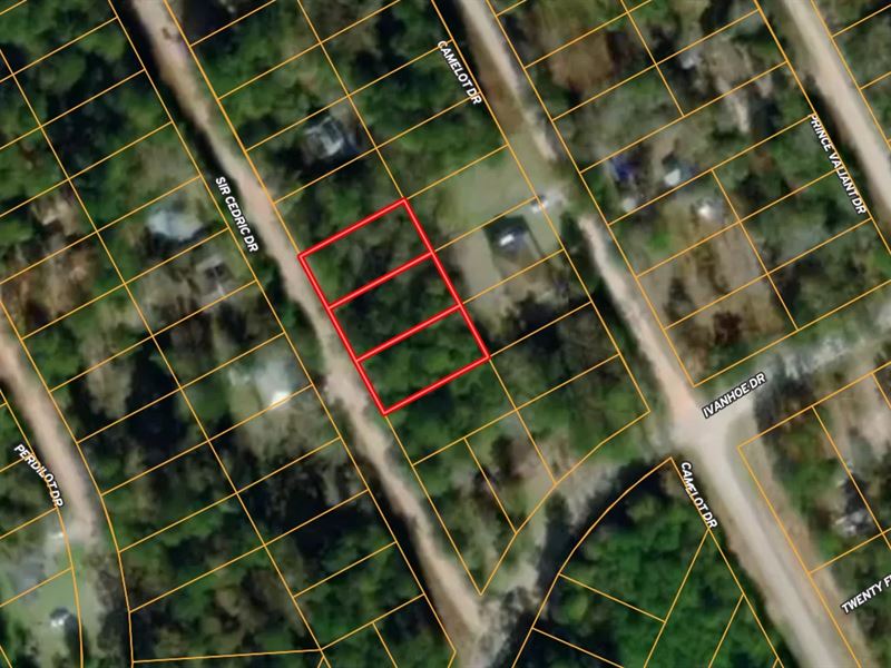 .49 Ac Residential Vacant Land : Woodville : Tyler County : Texas