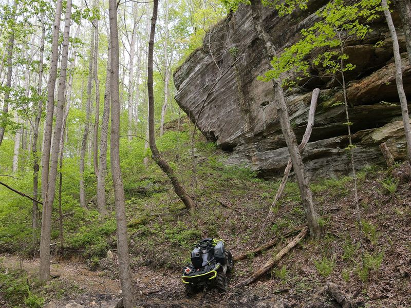 Stone Bluff Woods : Jackson : Jackson County : Ohio