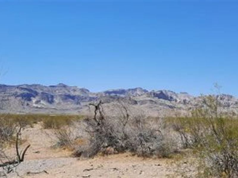 Amazing Mountainside Oasis : Golden Valley : Mohave County : Arizona