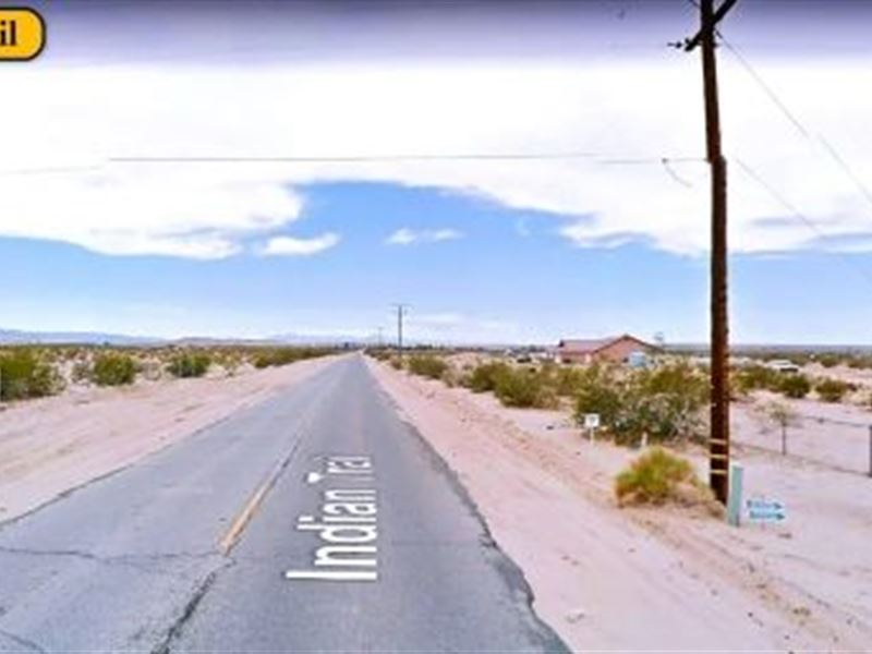 Discover The Desert Landscape : Twentynine Palms : San Bernardino County : California