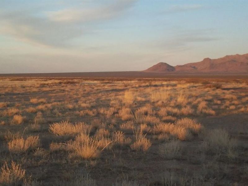 Captivating Lot in New Mexico : Deming : Luna County : New Mexico