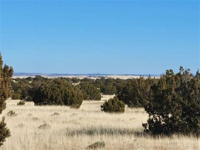 Ready to Spend Time Enjoying : Concho : Apache County : Arizona