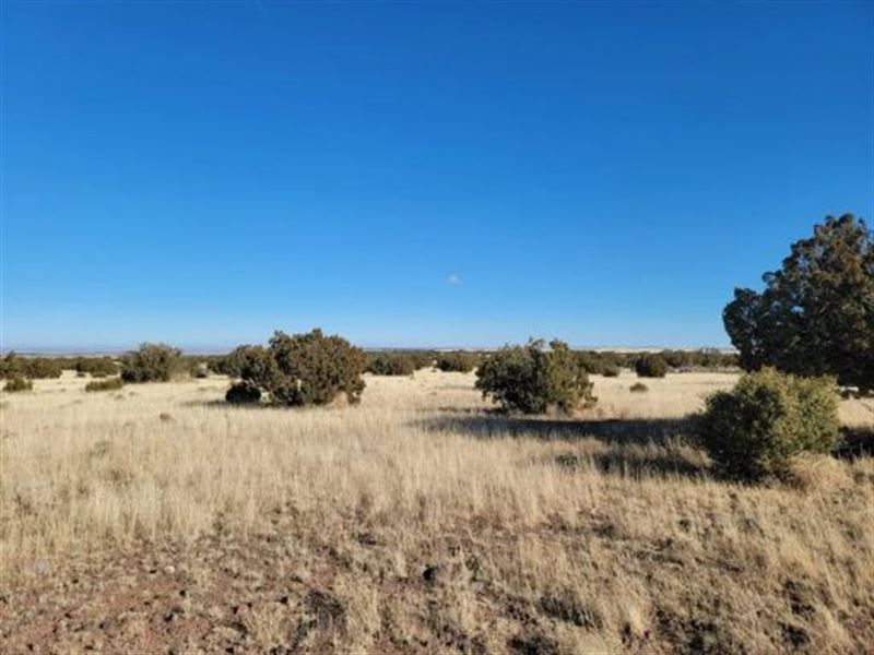 Own This 1+ Ac Lot in Apache County : Concho : Apache County : Arizona