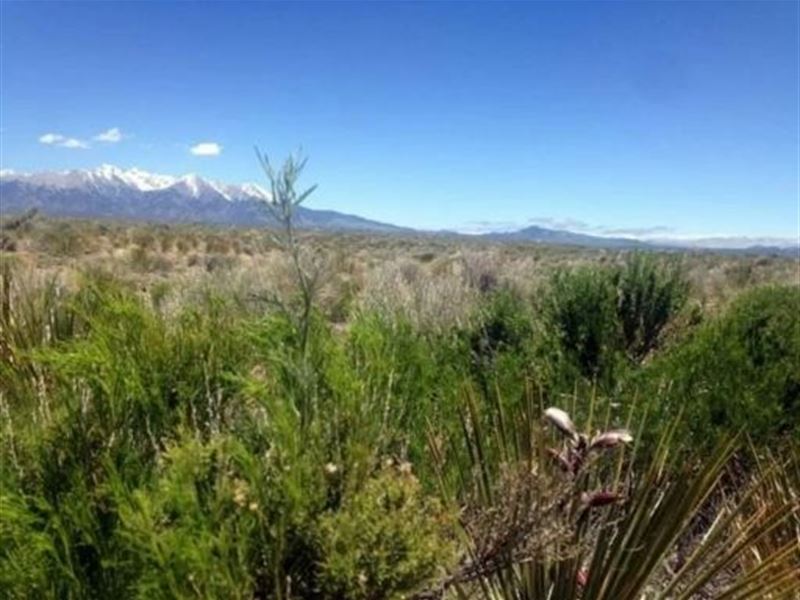 Build Your Dream Home : Blanca : Costilla County : Colorado
