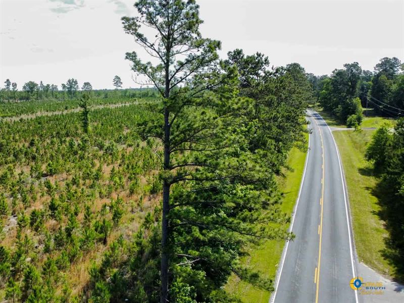 Bull Swamp Road Tract : North : Orangeburg County : South Carolina