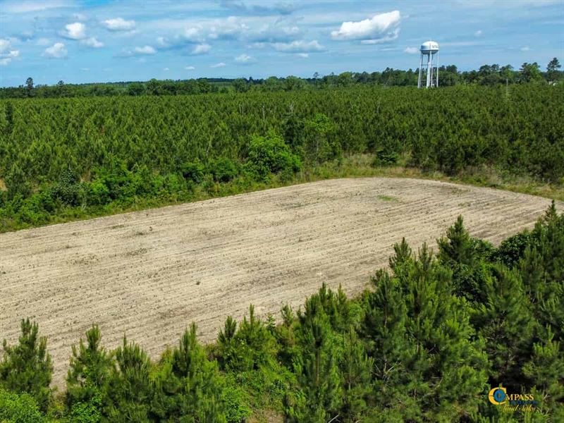 Caldon Road East Tract : Swansea : Calhoun County : South Carolina
