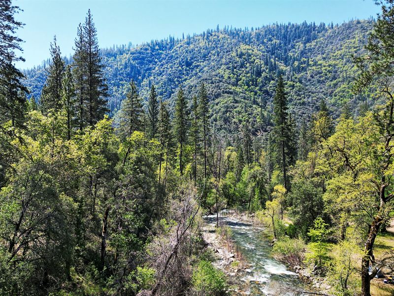 Basin Creek Retreat : Tuolumne : Tuolumne County : California