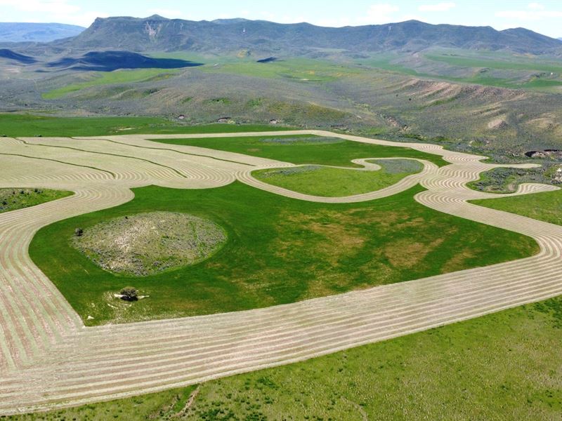 Little Jacket Ranch : Craig : Moffat County : Colorado
