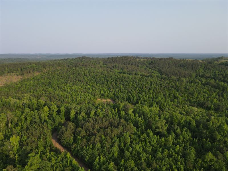 New Prospect Rd. 55 ac : Ashland : Clay County : Alabama