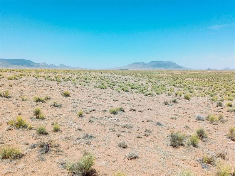 Unveil This Ultimate 5 Acre Haven : San Luis : Costilla County : Colorado