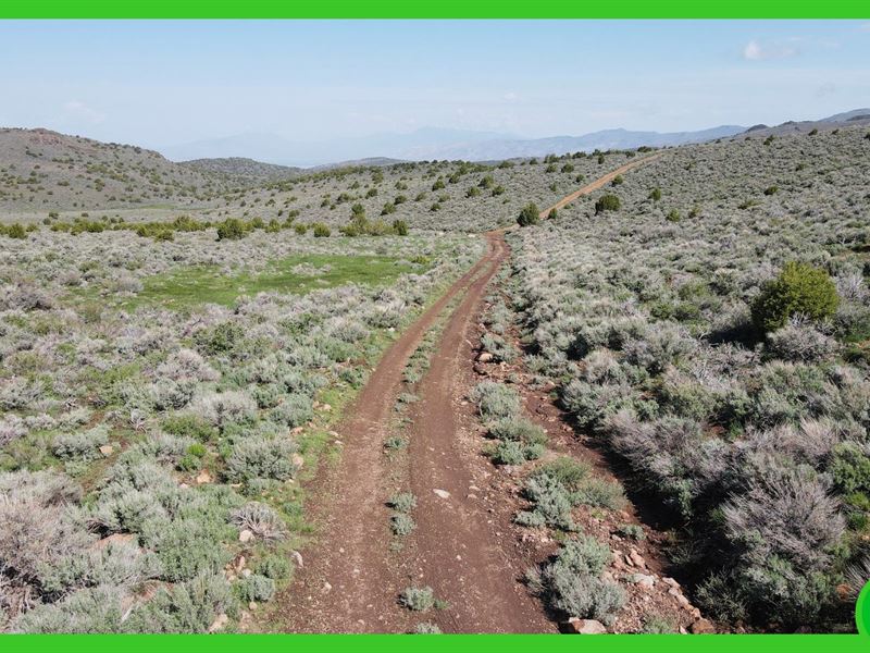 48.67 Acres of Land in Reno, NV : Reno : Washoe County : Nevada