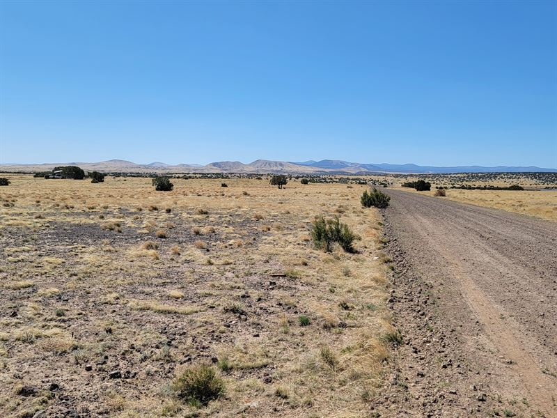 A Unique Life Awaits on 1.04 Acres : Concho : Apache County : Arizona