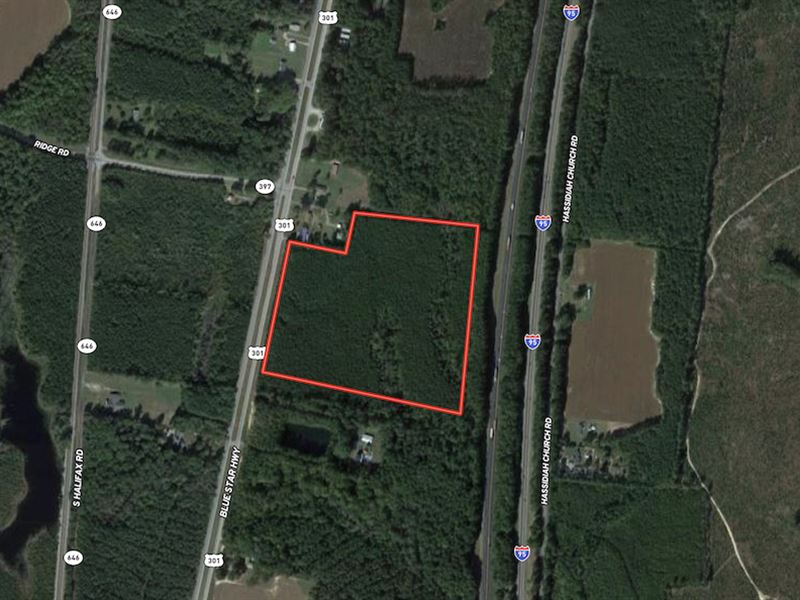 28 Acres of Timbe : Jarratt : Sussex County : Virginia