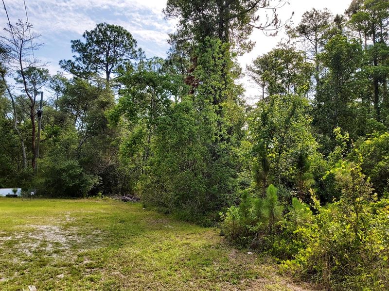 Spacious Lot at Cul-De-Sac, $227/Mo : Crescent City : Putnam County : Florida