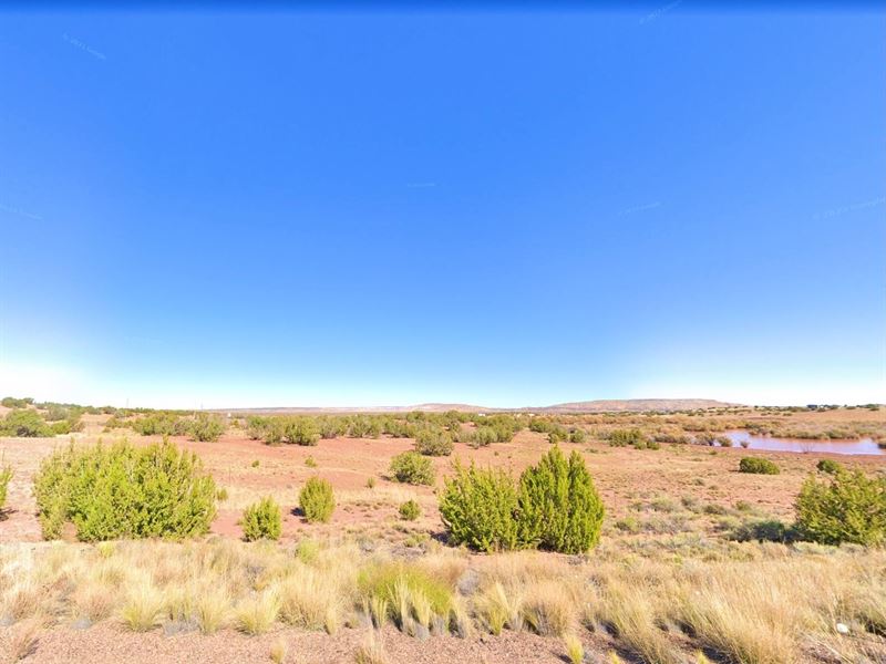 .16 Acre in Heber, $200/Month : Heber : Navajo County : Arizona