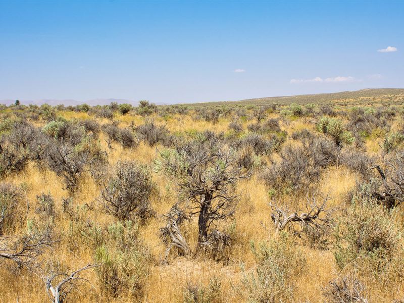 Your Mountain Oasis Awaits : Saint Elko : Elko County : Nevada