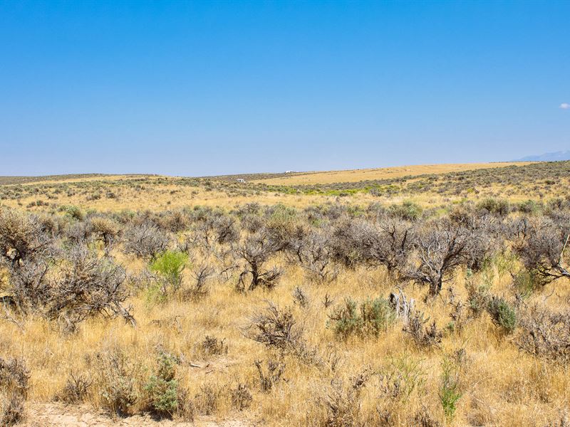 1.03 Acres of Natural Beauty : Saint Elko : Elko County : Nevada