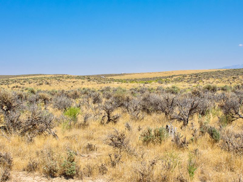 1.03 Acres of Natural Beauty : Saint Elko : Elko County : Nevada