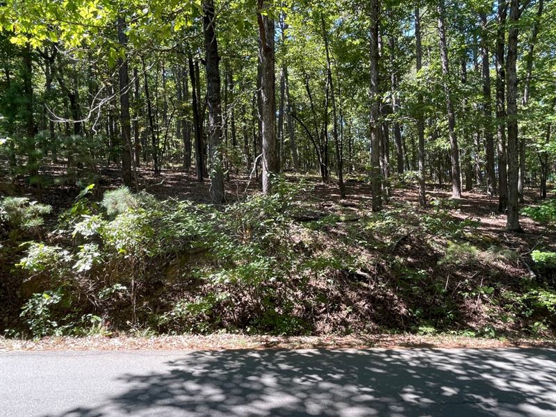 Reduced Price, Unique Opportunity : Hot Springs Village : Garland County : Arkansas