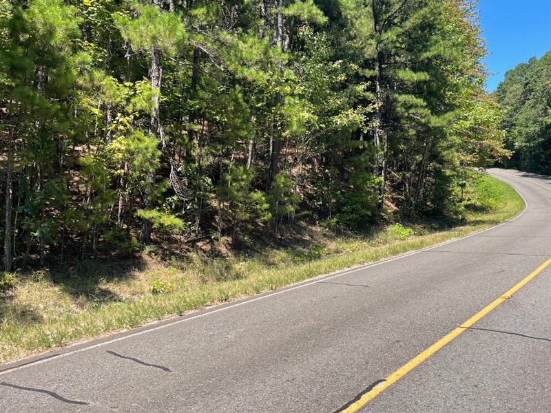 Sell Land At Low Price : Hot Springs Village : Garland County : Arkansas