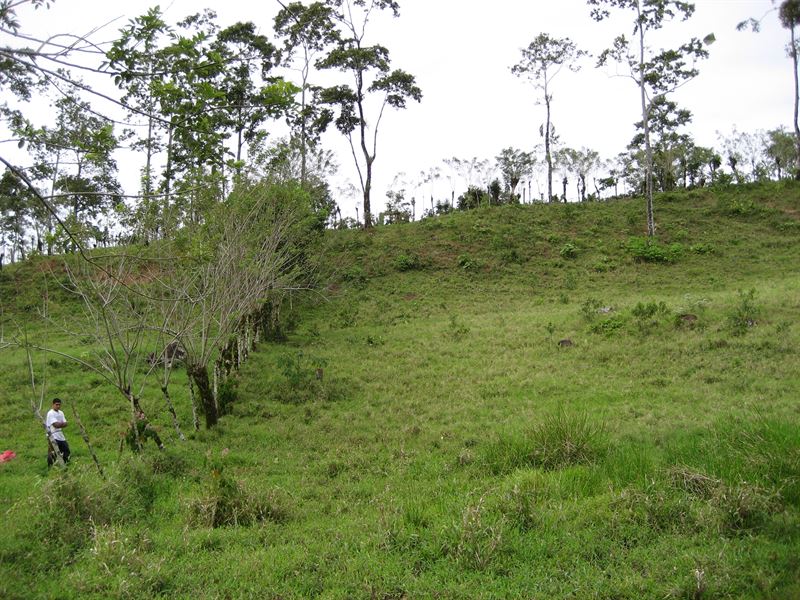 Peralta Turrialba : Turrialba : Costa Rica