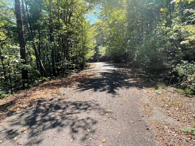 2 Lots for The Price Of 1 : Hot Springs Village : Garland County : Arkansas