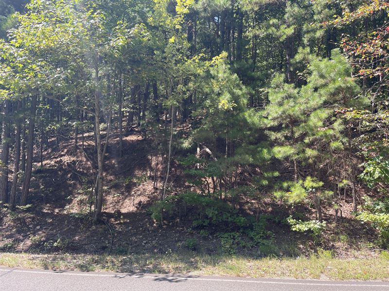 6 Big Lots with Unmissable Discount : Hot Springs Village : Garland County : Arkansas
