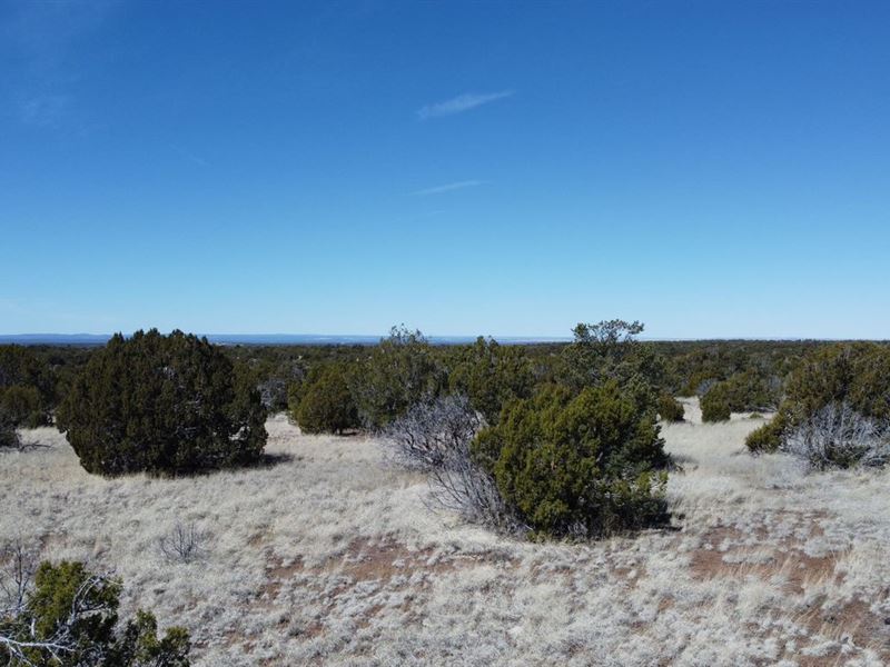 Build A Happy Home : Concho : Apache County : Arizona