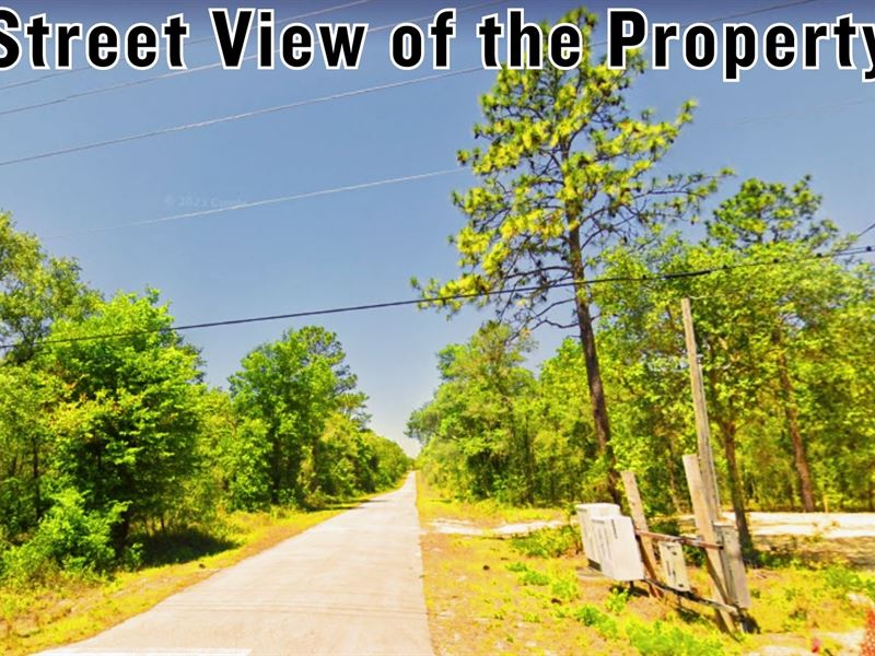Rare Opportunity, Sprawling 0.24 ac : Dunnellon : Marion County : Florida