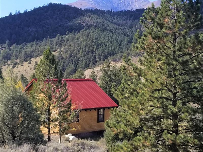 Marshall Pass Cabin Salida Colorado : Salida : Chaffee County : Colorado
