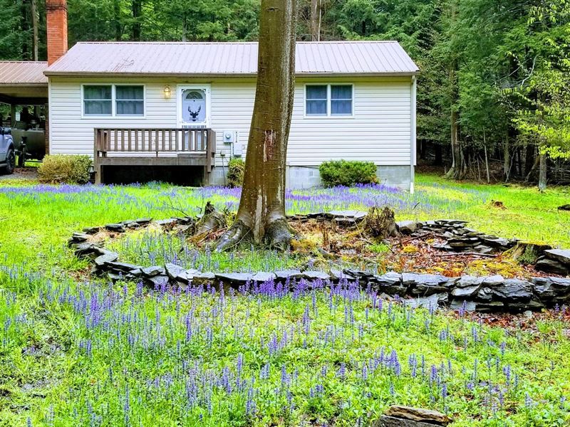 314 Troxell Spring Rd : Flinton : Cambria County : Pennsylvania